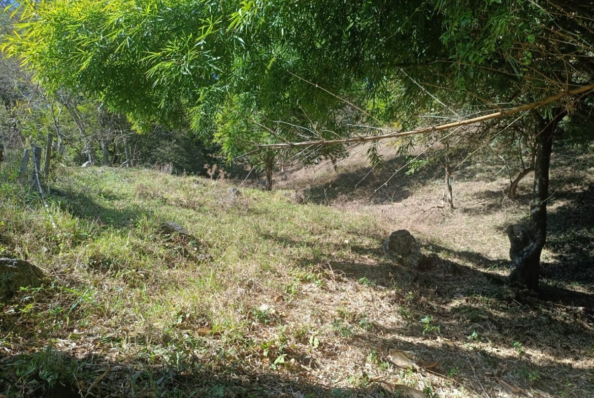 Terreno de 4,74 alqueires com Água Cristalina a Venda em Cambuí MG