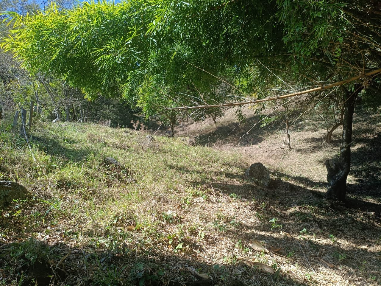 Terreno de 4 alqueire com Água Cristalina a Venda em Cambui MG cod 2502 (25) Terreno de 4,74 alqueires com Água Cristalina a Venda em Cambuí MG