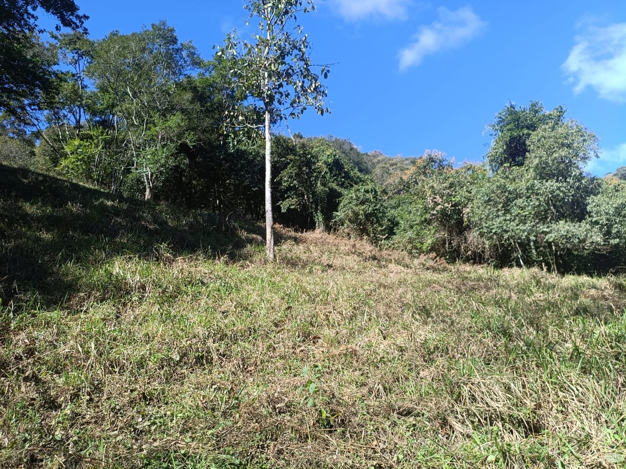Terreno de 4 alqueire com Água Cristalina a Venda em Cambui MG cod 2502 (26) Terreno de 4,74 alqueires com Água Cristalina a Venda em Cambuí MG