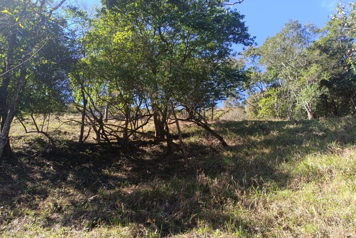 Terreno de 4,74 alqueires com Água Cristalina a Venda em Cambuí MG