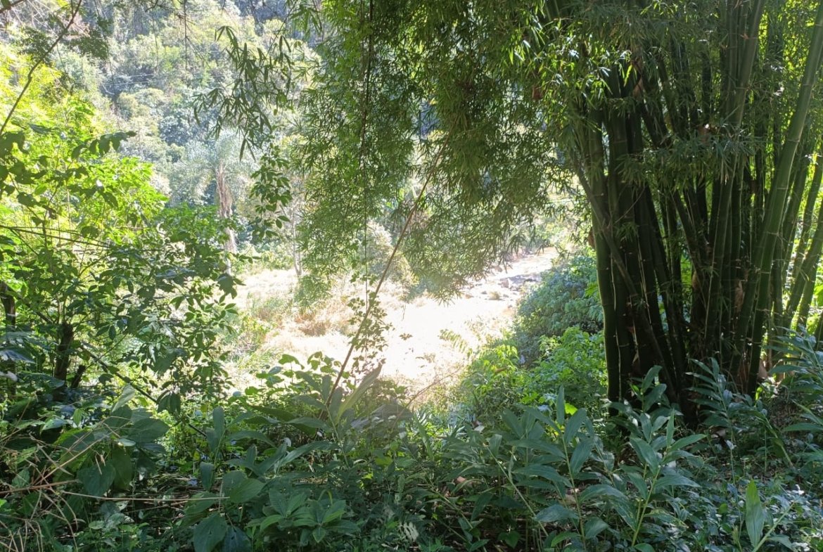 Terreno de 4,74 alqueires com Água Cristalina a Venda em Cambuí MG