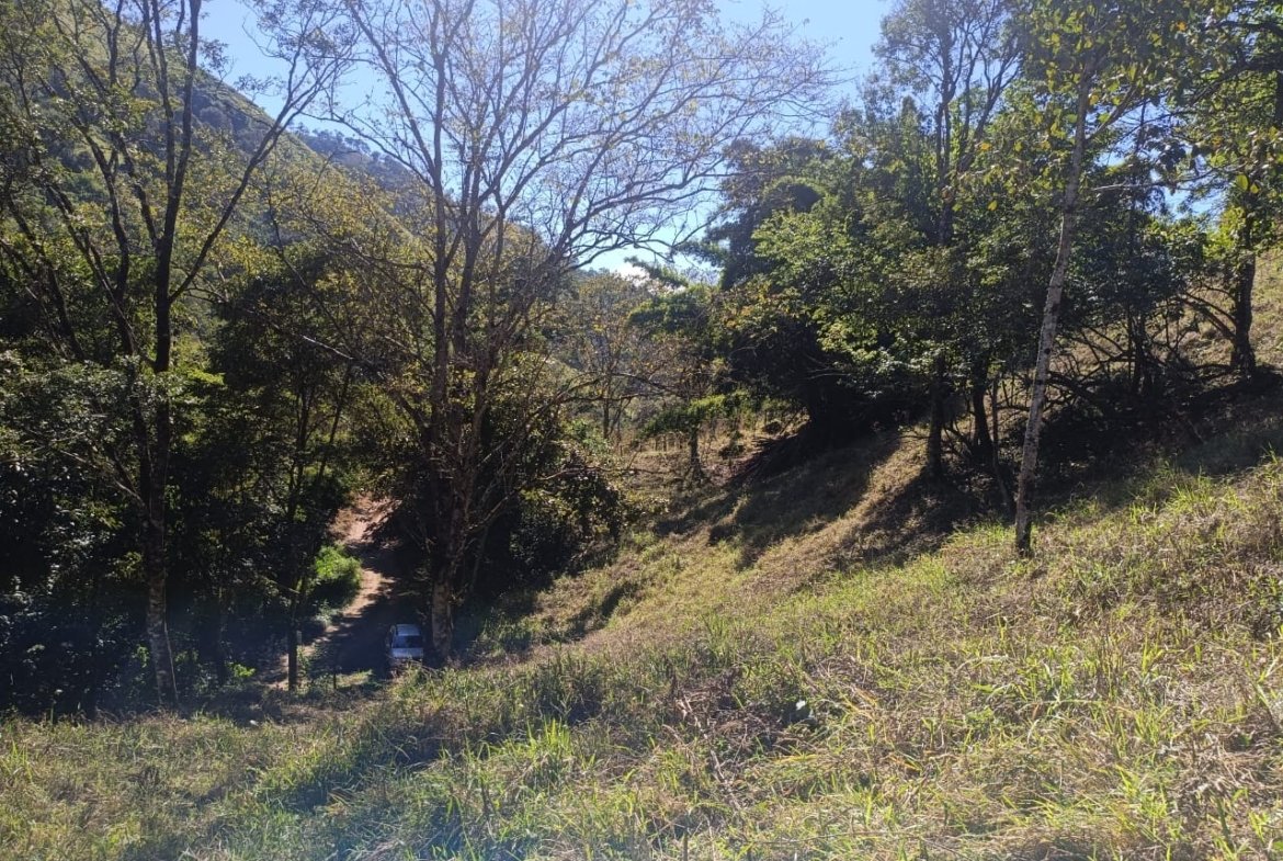 Terreno de 4,74 alqueires com Água Cristalina a Venda em Cambuí MG