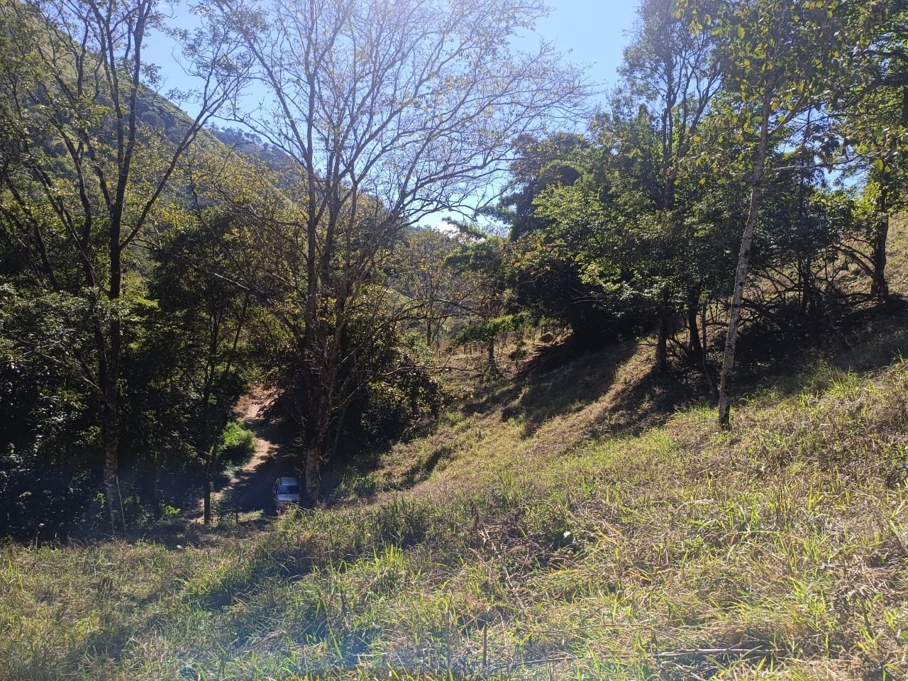 Terreno de 4 alqueire com Água Cristalina a Venda em Cambui MG cod 2502 (4) Terreno de 4,74 alqueires com Água Cristalina a Venda em Cambuí MG