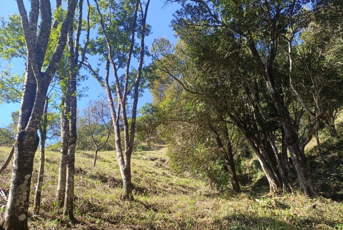 Terreno de 4,74 alqueires com Água Cristalina a Venda em Cambuí MG