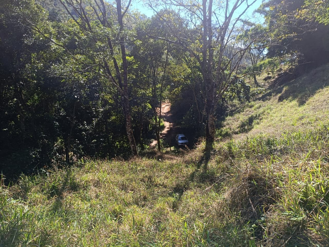 Terreno de 4 alqueire com Água Cristalina a Venda em Cambui MG cod 2502 (6) Terreno de 4,74 alqueires com Água Cristalina a Venda em Cambuí MG