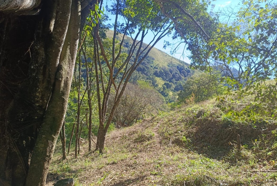 Terreno de 4,74 alqueires com Água Cristalina a Venda em Cambuí MG