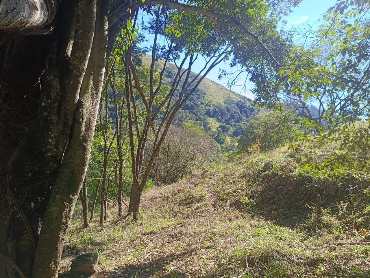 Terreno de 4 alqueire com Água Cristalina a Venda em Cambui MG cod 2502 (7) Terreno de 4,74 alqueires com Água Cristalina a Venda em Cambuí MG