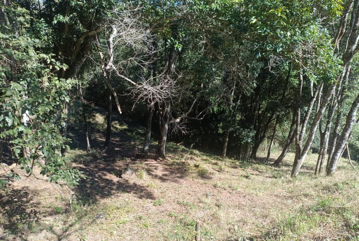 Terreno de 4,74 alqueires com Água Cristalina a Venda em Cambuí MG