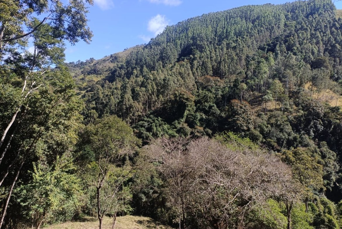 Terreno de 4,74 alqueires com Água Cristalina a Venda em Cambuí MG