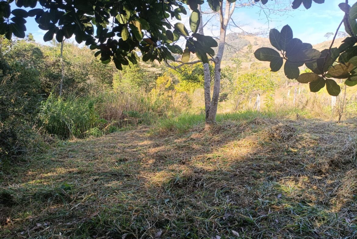 Terreno de 4000m² a Venda em Cambui MG apenas 6 km da cidade