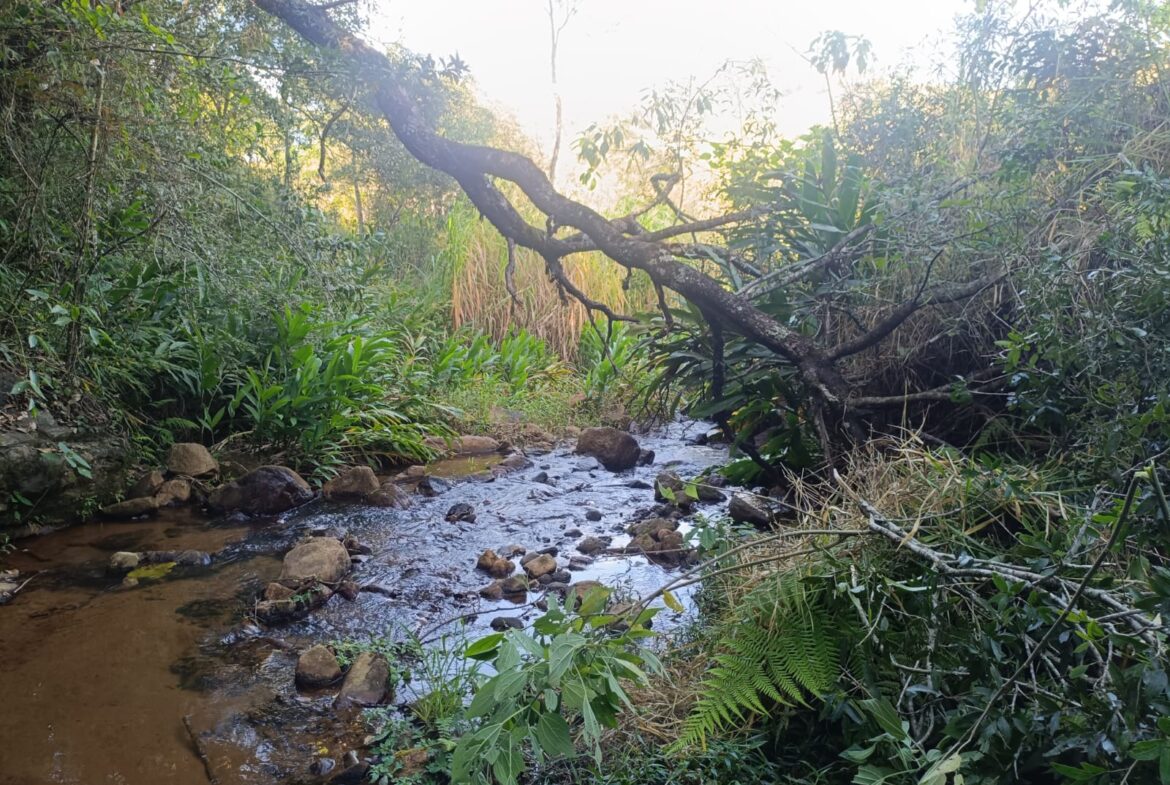 Terreno de 4000m² a Venda em Cambui MG apenas 6 km da cidade