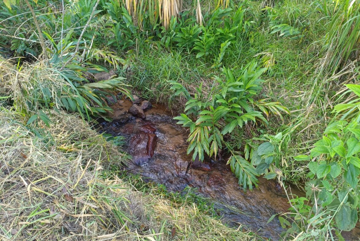 Terreno de 4000m² a Venda em Cambui MG apenas 6 km da cidade