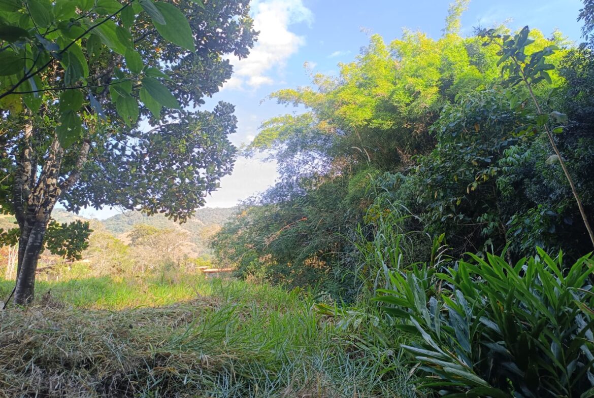 Terreno de 4000m² a Venda em Cambui MG apenas 6 km da cidade