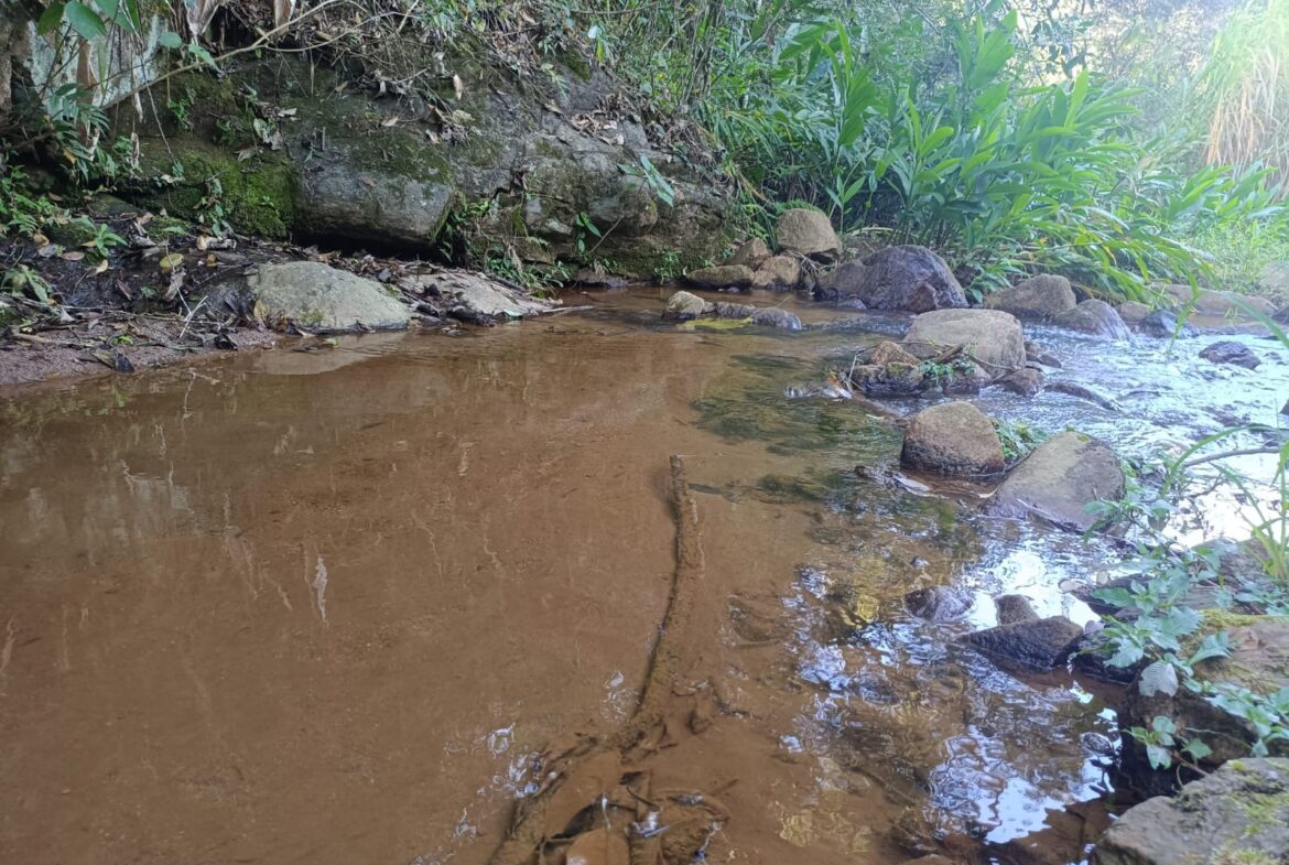 Terreno de 4000m² a Venda em Cambui MG apenas 6 km da cidade