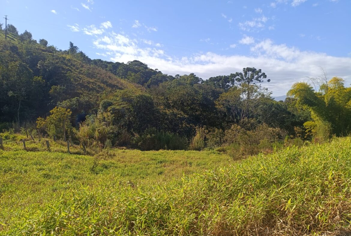 Terreno de 4000m² a Venda em Cambui MG apenas 6 km da cidade