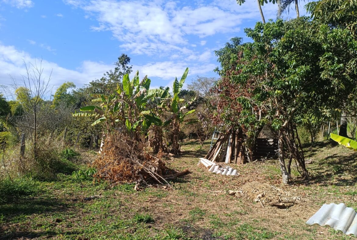 Terreno de 4000m² a Venda em Cambui MG apenas 6 km da cidade