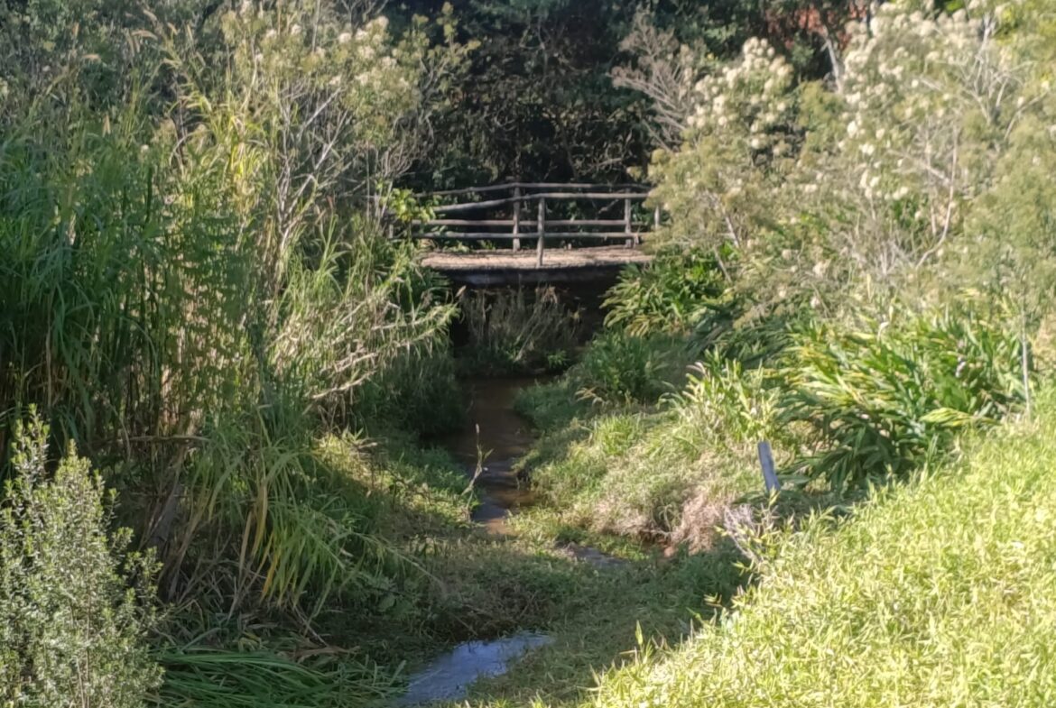 Terreno de 4000m² a Venda em Cambui MG apenas 6 km da cidade