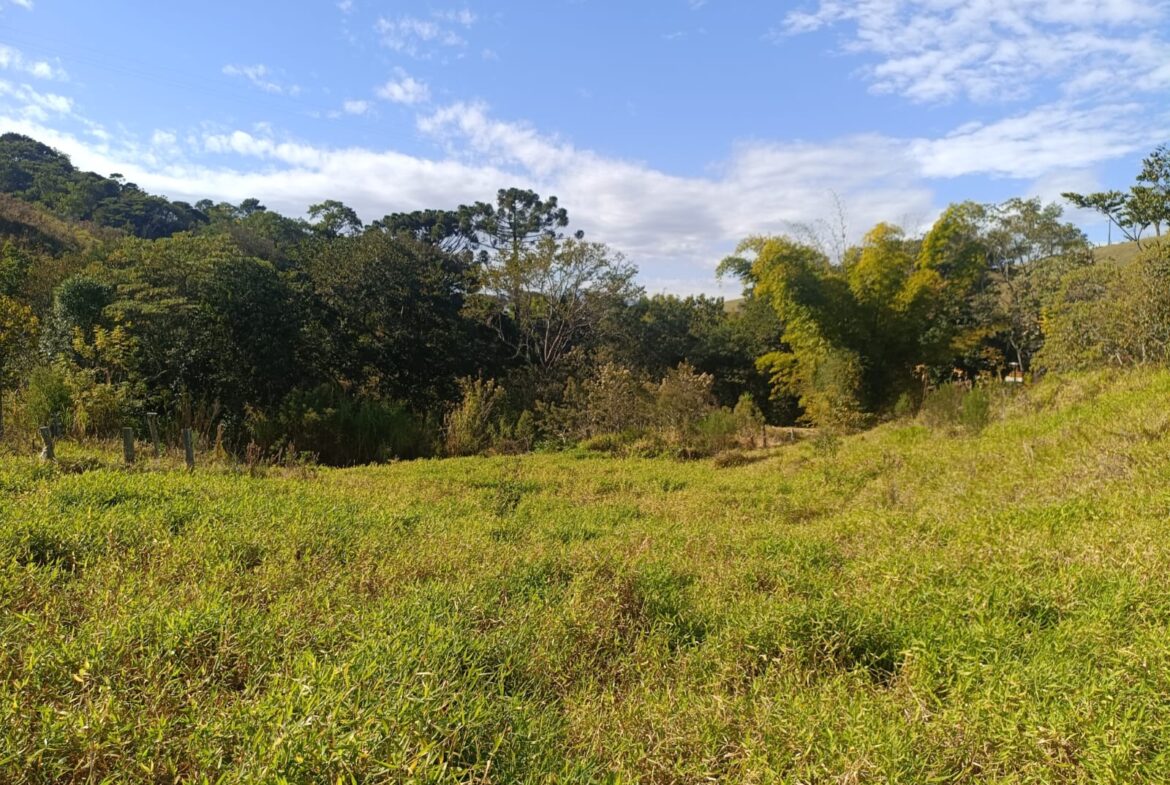 Terreno de 4000m² a Venda em Cambui MG apenas 6 km da cidade