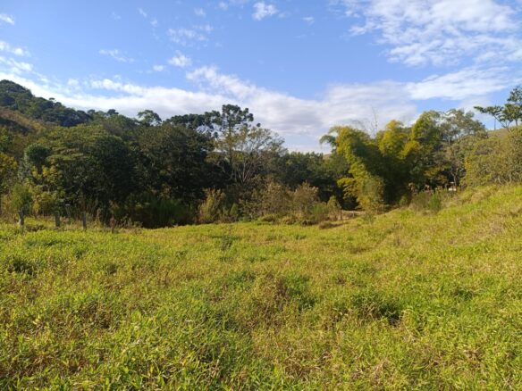 Terreno de 4000m² a Venda em Cambui MG apenas 6 km da cidade