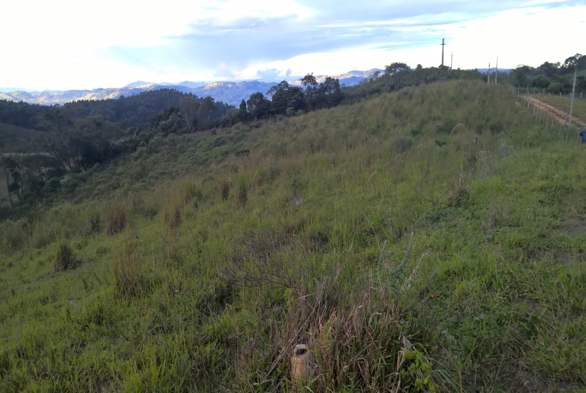 Terreno nas margens da Pista em Senador Amaral Vista 360º