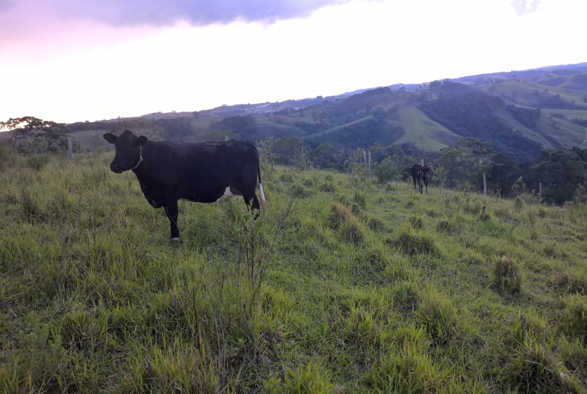 Terreno nas margens da Pista em Senador Amaral Vista 360º