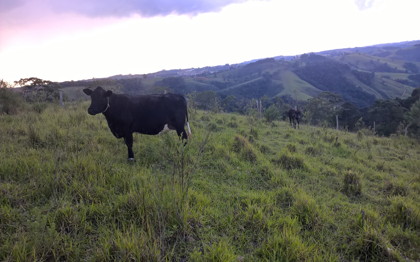 Terreno nas margens da Pista em Senador Amaral Vista 360º