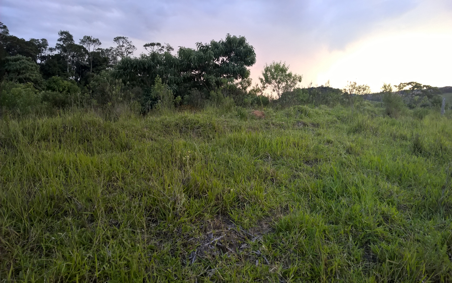 Terreno nas margens da Pista em Senador Amaral Vista 360º