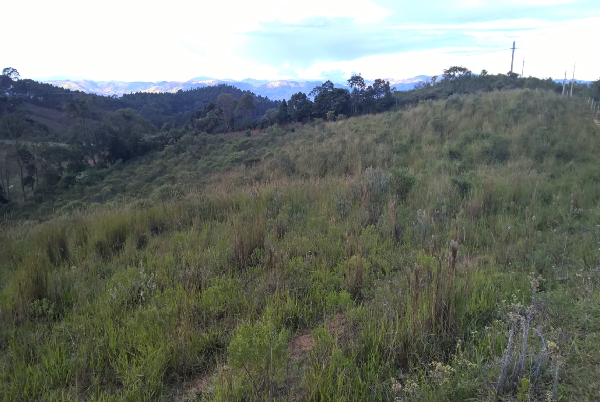 Terreno nas margens da Pista em Senador Amaral Vista 360º