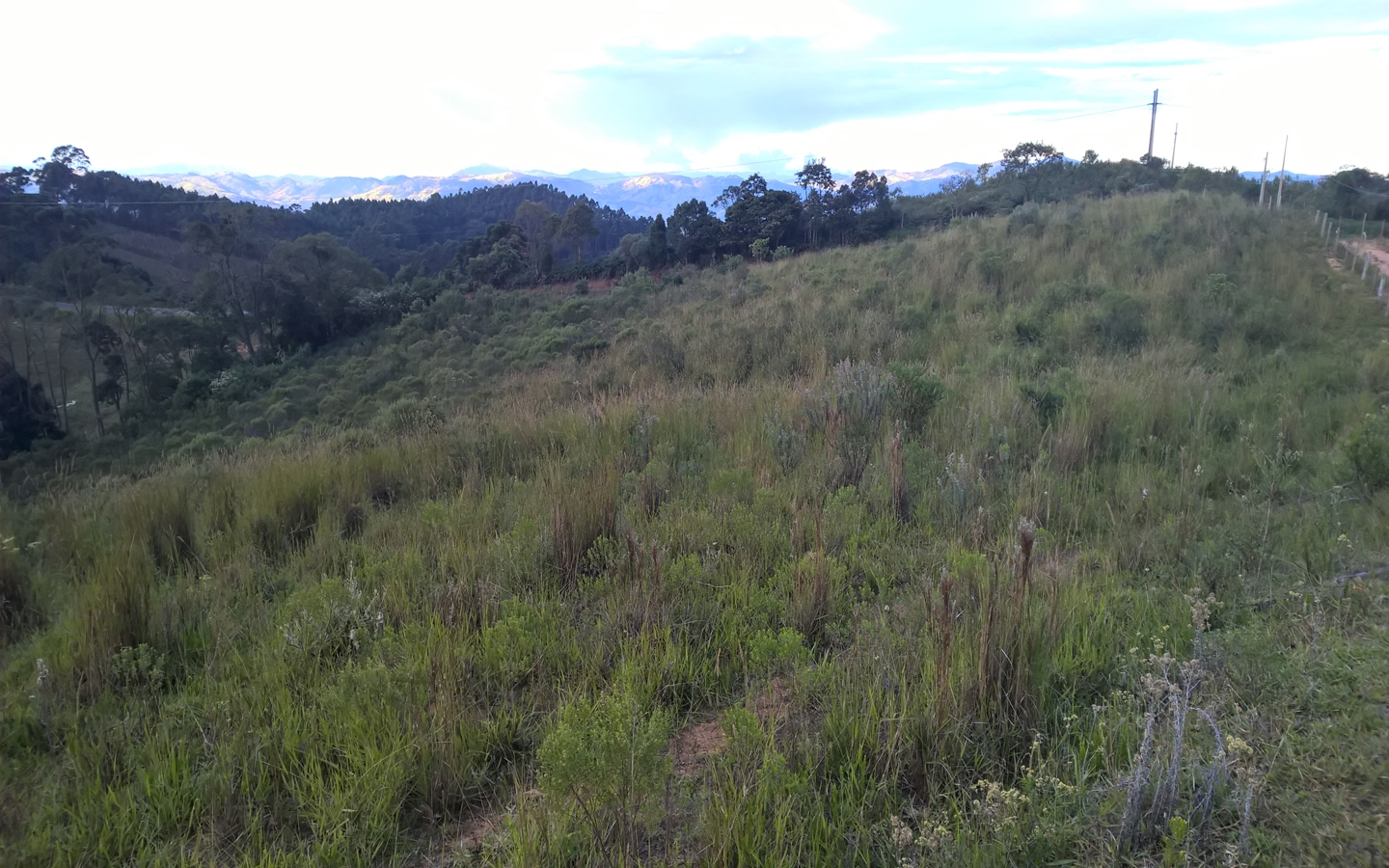 Terreno nas margens da Pista em Senador Amaral Vista 360º