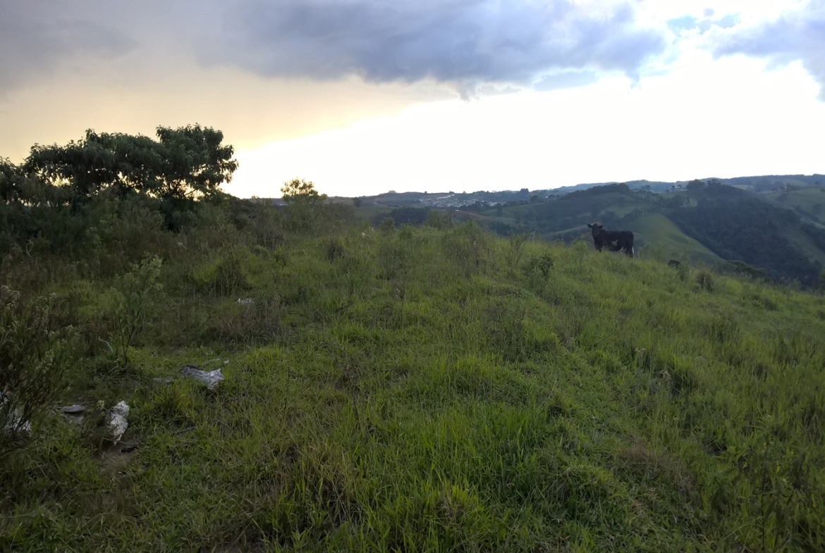 Terreno nas margens da Pista em Senador Amaral Vista 360º