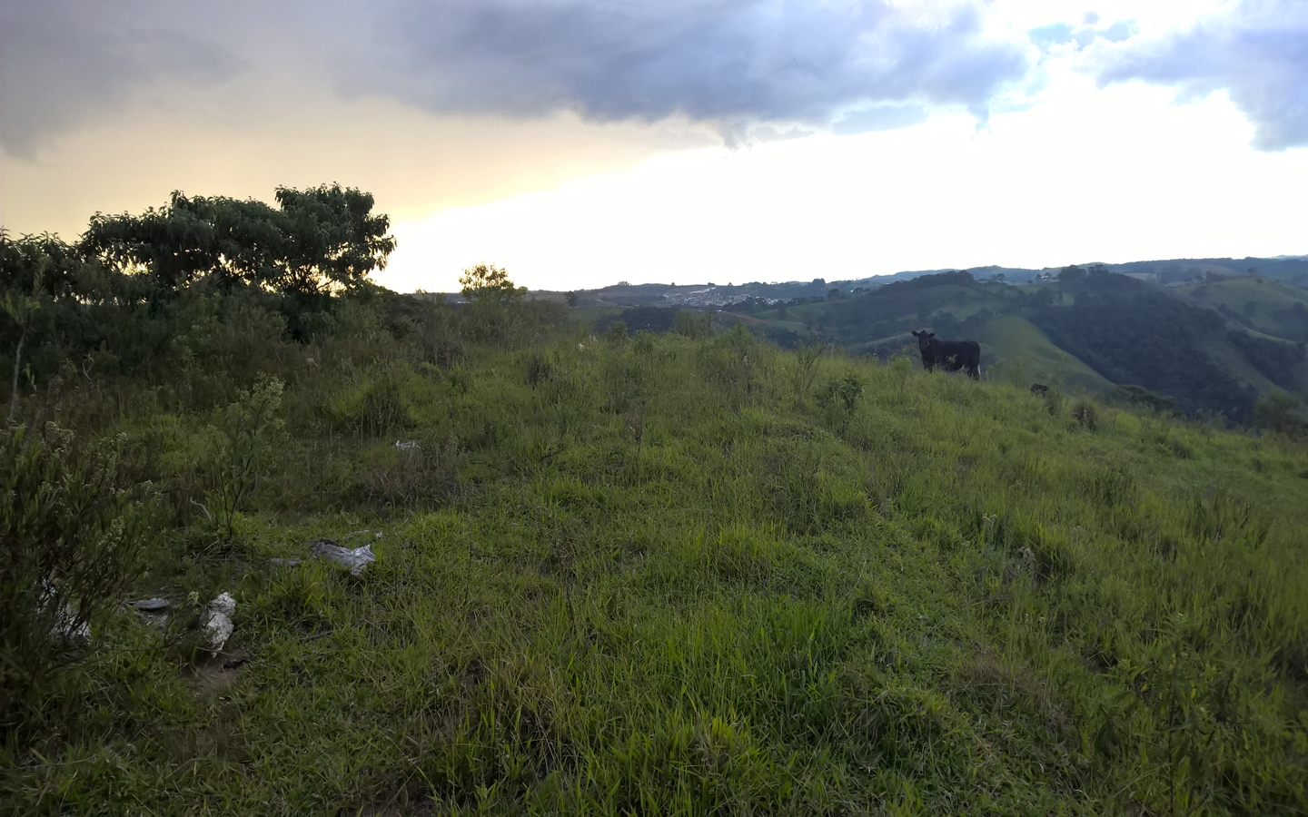 Terreno nas margens da Pista em Senador Amaral Vista 360º