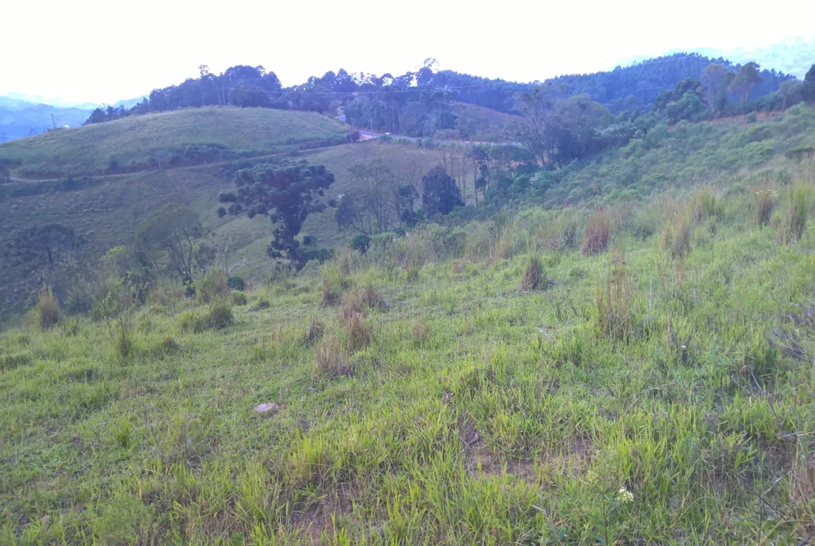 Terreno nas margens da Pista em Senador Amaral Vista 360º