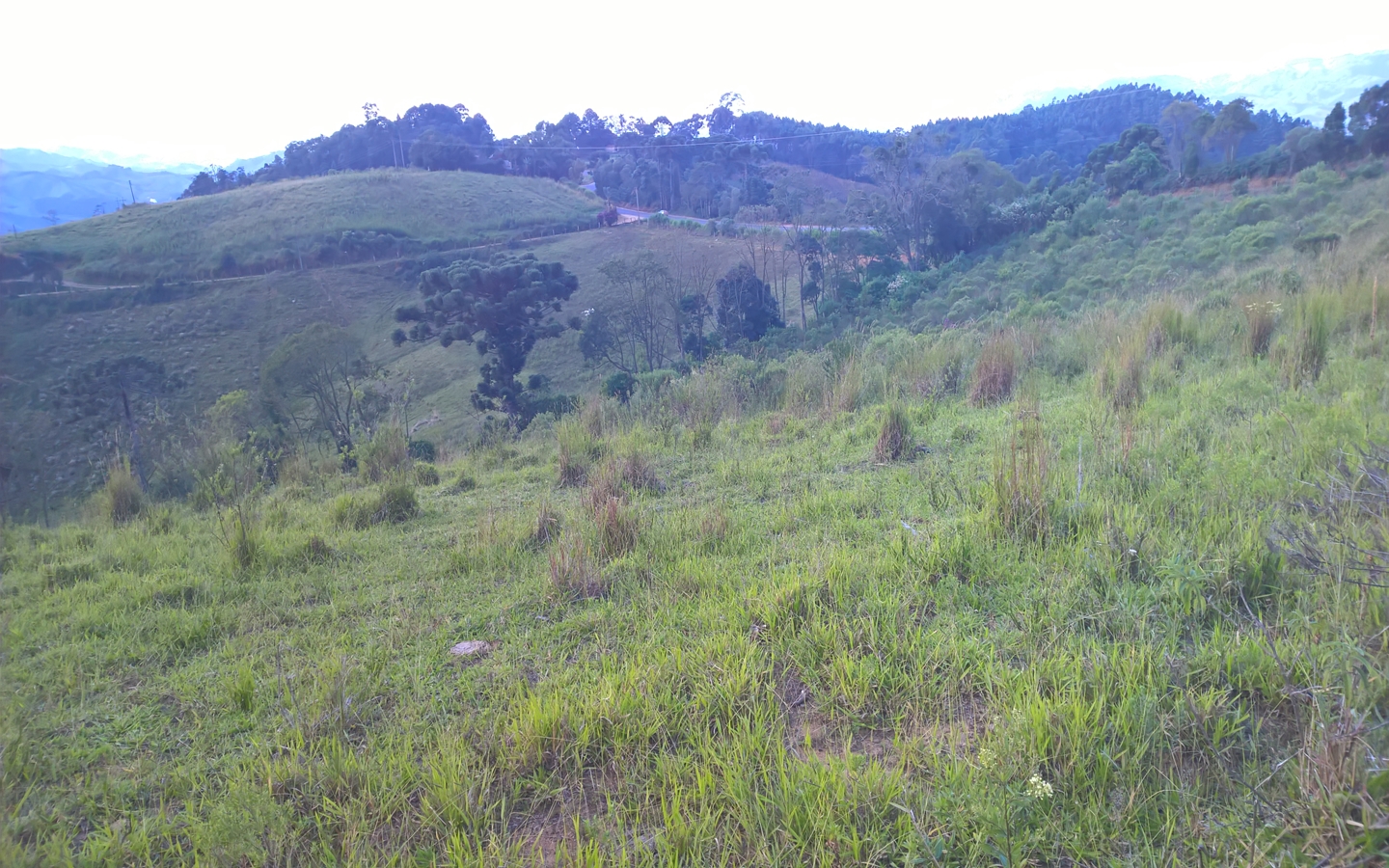 Terreno nas margens da Pista em Senador Amaral Vista 360º