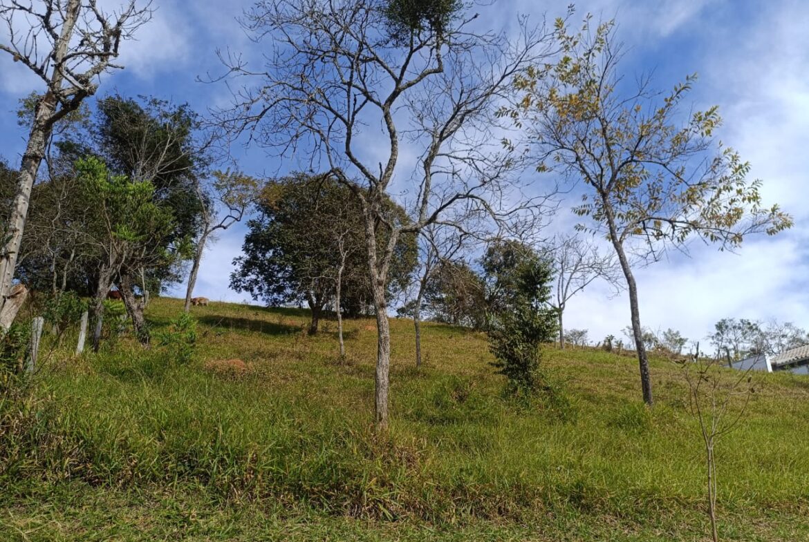 Imagem 01 do terreno à venda em Cambuí/MG — cód. 2519