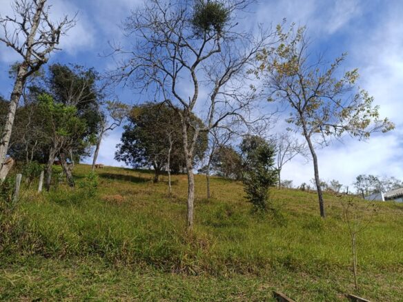 Imagem 01 do terreno à venda em Cambuí/MG — cód. 2519