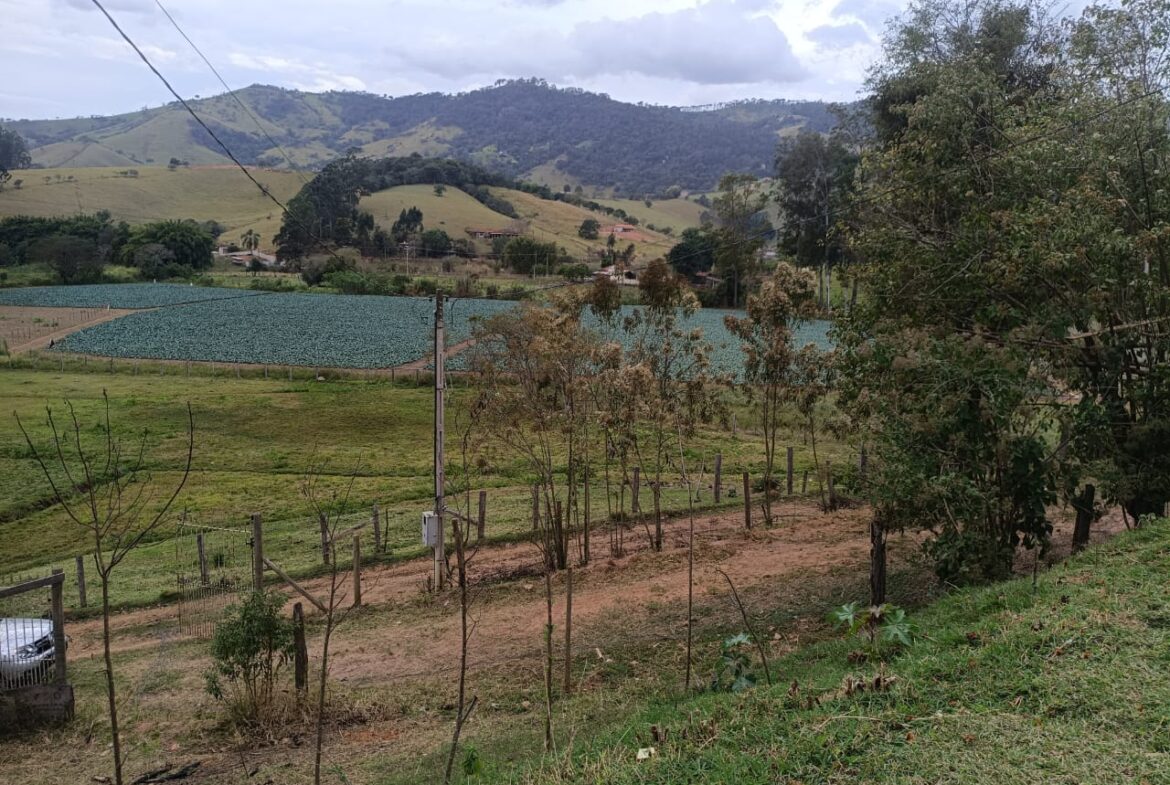 Imagem 11 do locação cambuí para alugar em Cambuí/MG — cód. 2522