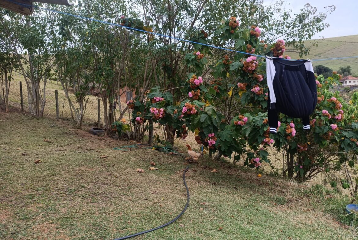 Imagem 13 do locação cambuí para alugar em Cambuí/MG — cód. 2522