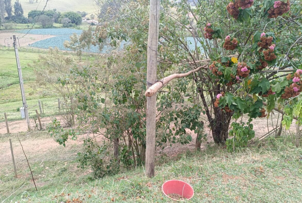 Imagem 14 do locação cambuí para alugar em Cambuí/MG — cód. 2522