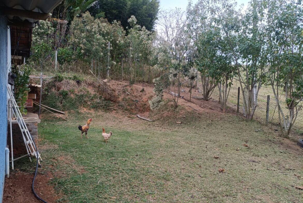 Imagem 15 do locação cambuí para alugar em Cambuí/MG — cód. 2522