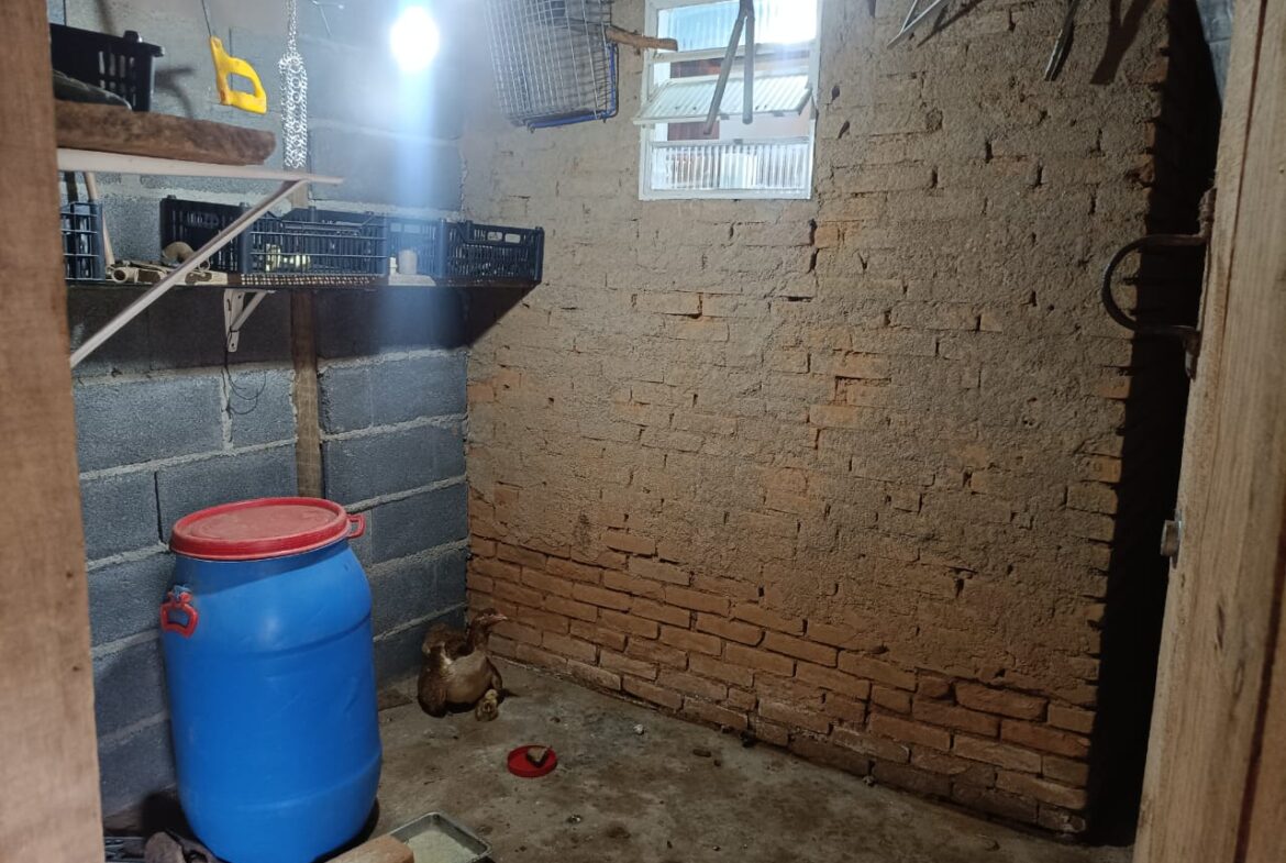 Imagem 16 do locação cambuí para alugar em Cambuí/MG — cód. 2522