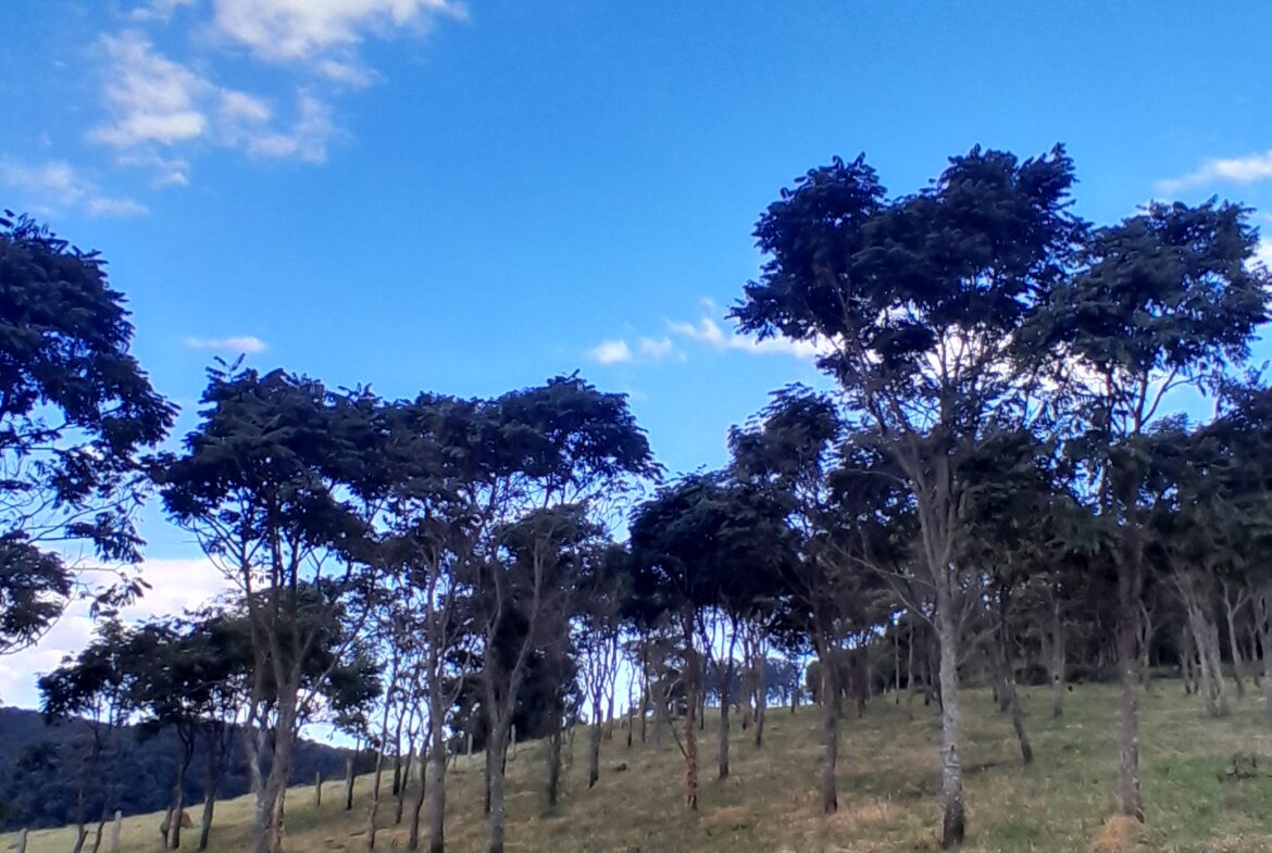 Imagem 08 do terreno à venda em Córrego do Bom Jesus/MG — cód. 2526
