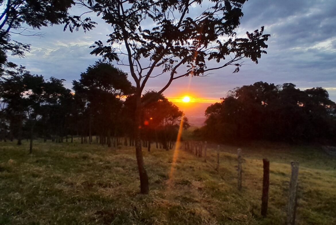 Imagem 12 do terreno à venda em Córrego do Bom Jesus/MG — cód. 2526