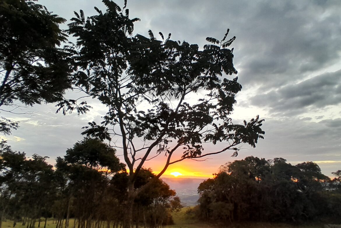 Imagem 14 do terreno à venda em Córrego do Bom Jesus/MG — cód. 2526