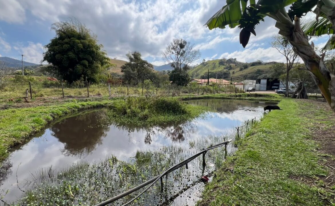 Imagem 01 do sítio à venda em Cambuí/MG — cód. 2533