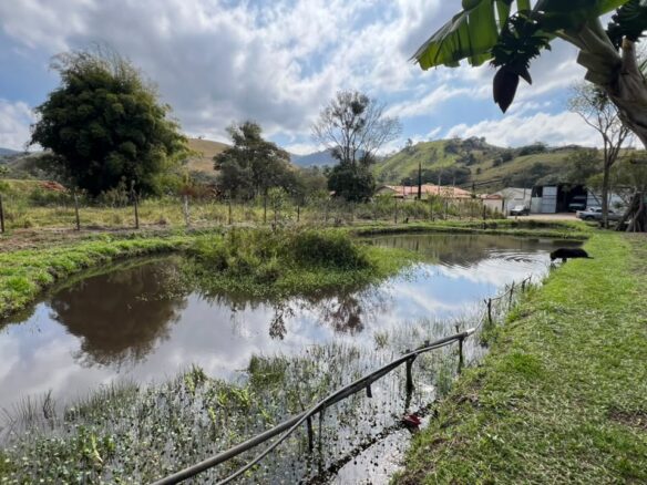 Imagem 01 do sítio à venda em Cambuí/MG — cód. 2533