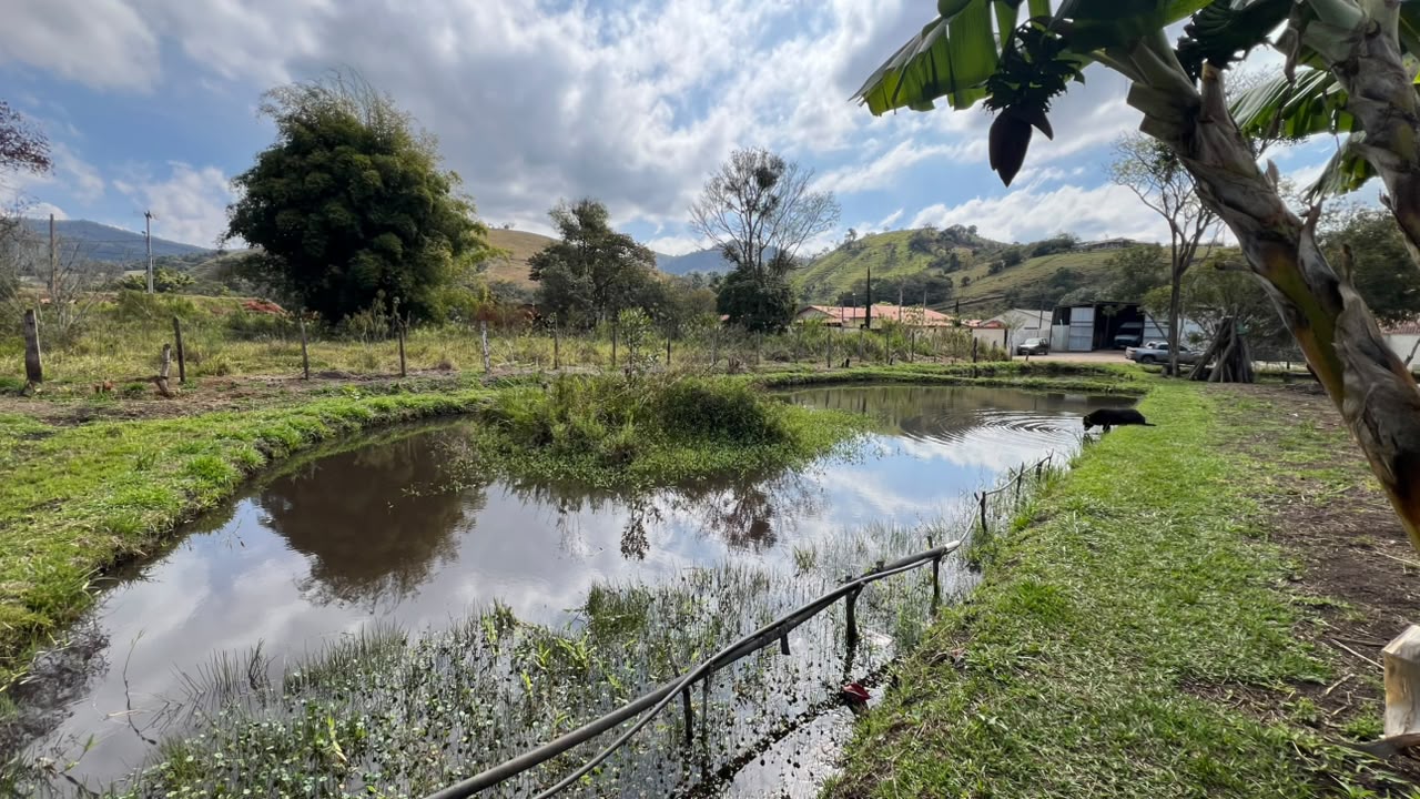 Imagem 01 do sítio à venda em Cambuí/MG — cód. 2533