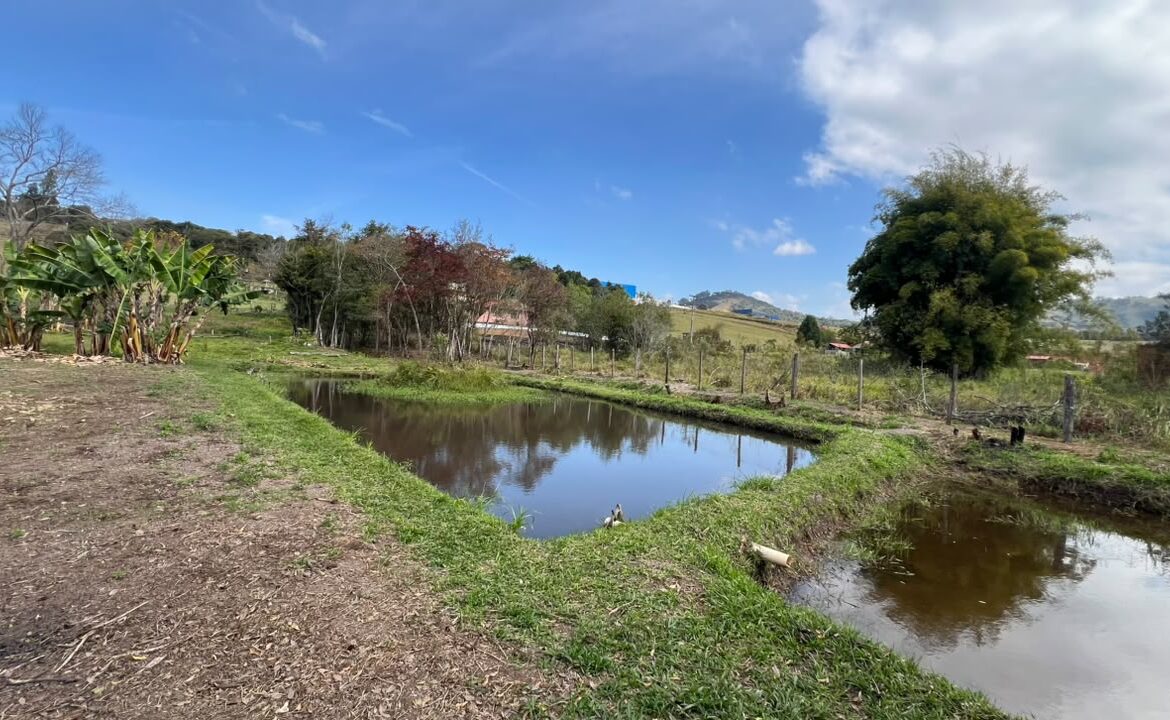 Imagem 04 do sítio à venda em Cambuí/MG — cód. 2533