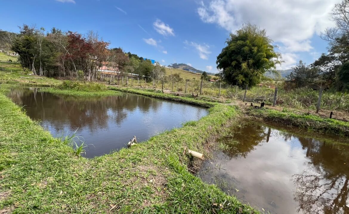 Imagem 05 do sítio à venda em Cambuí/MG — cód. 2533