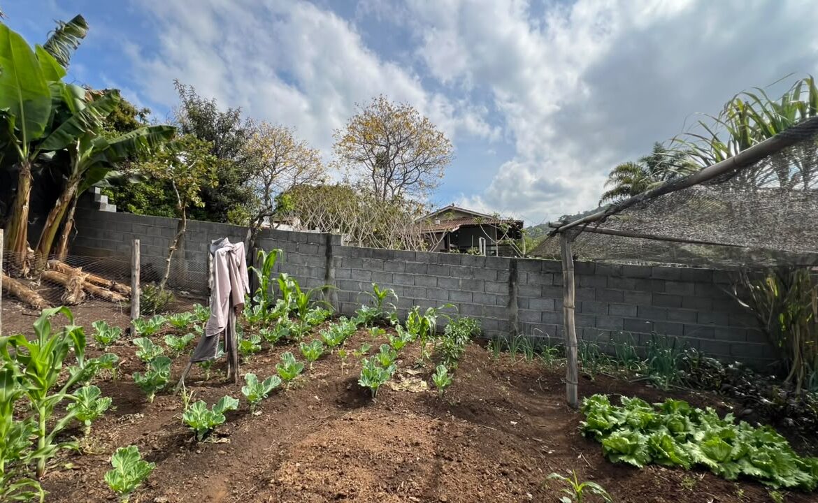 Imagem 35 do sítio à venda em Cambuí/MG — cód. 2533