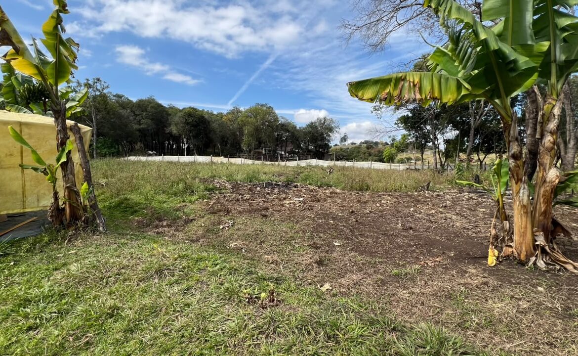 Imagem 41 do sítio à venda em Cambuí/MG — cód. 2533